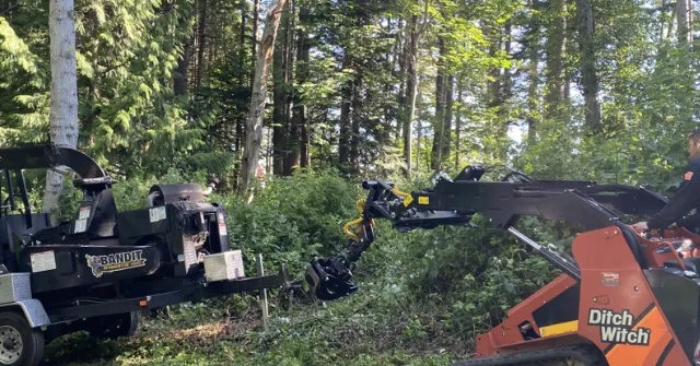 Local crew trimming maple trees in Sedro-Woolley WA near Cascade Trail