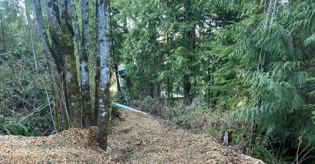 tree service crew working near Berthusen Park, Lynden, WA