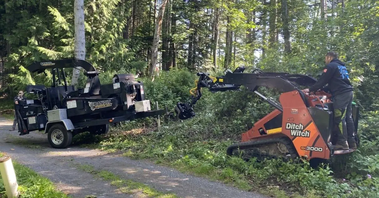 Emergency Tree Removal Near Me