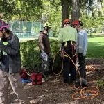 A certified arborist from Earthworks Tree Service correctly planted a young Dogwood tree in a Mount Vernon yard.