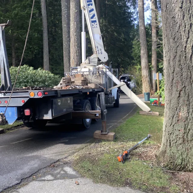 Stump grinding service on Mount Vernon residential lot