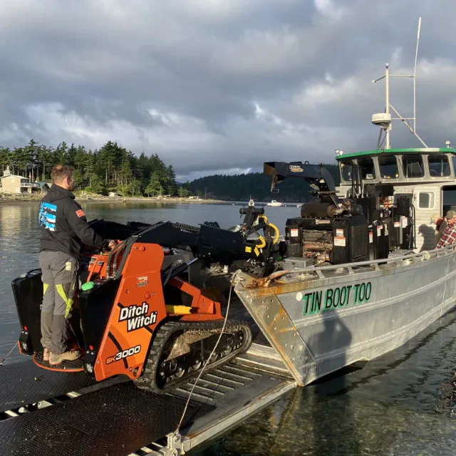 Storm damaged tree cleanup in Skagit County, WA