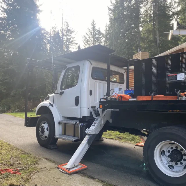 Residential tree trimming service in Bellingham neighborhood