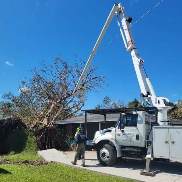 Tree service la conner wa