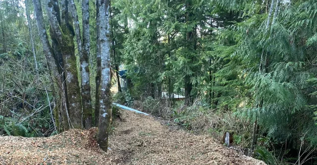 tree service crew working near Berthusen Park, Lynden, WA