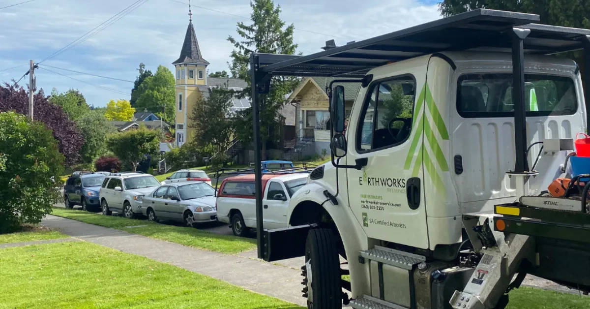 Preventing power outages with expert electrical line clearance in Northwest Washington