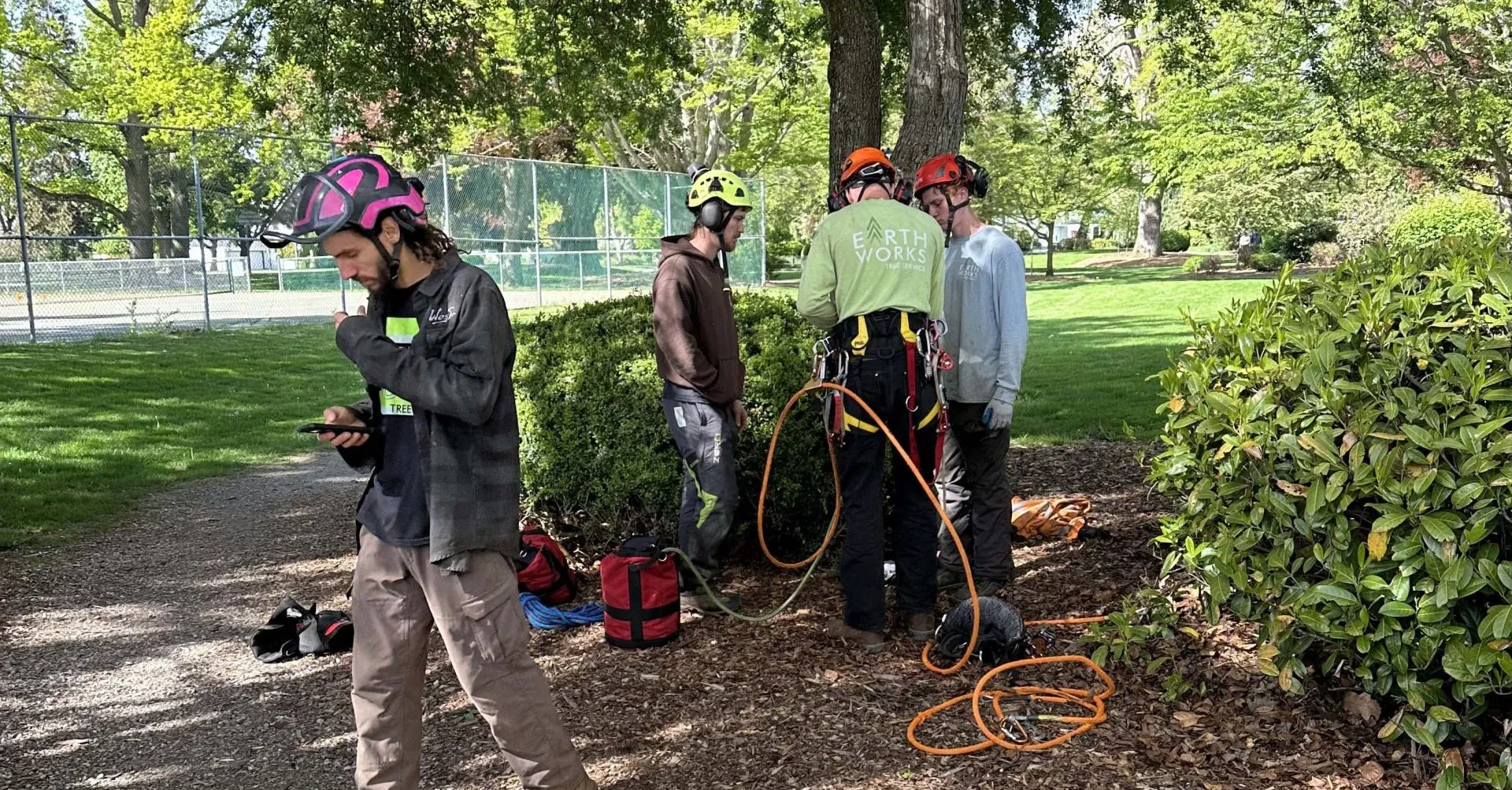 A certified arborist from Earthworks Tree Service correctly planted a young Dogwood tree in a Mount Vernon yard.