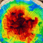A PiCUS sonic tomography scan of a tree trunk showing internal wood density with a color-coded cross-section map illustrating decay patterns.