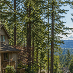Large evergreen trees surround homes in Sudden Valley near Bellingham.