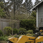 Professional stump grinding machine removing a decaying tree stump on a Mount Vernon Washington residential property