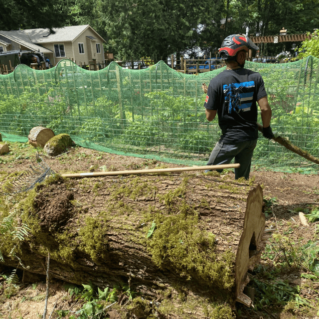 Tree service la conner wa