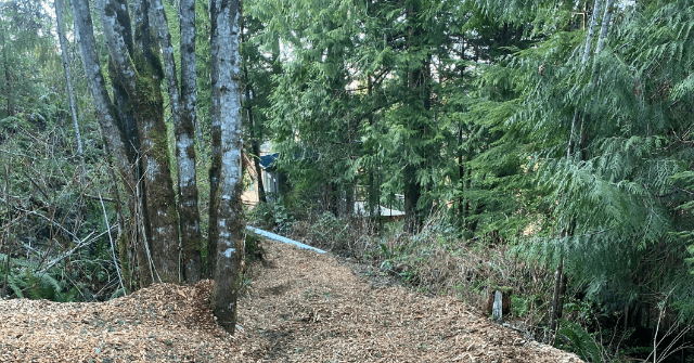 tree service crew working near Berthusen Park, Lynden, WA