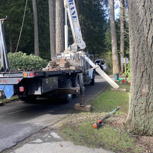 Stump grinding service on Mount Vernon residential lot