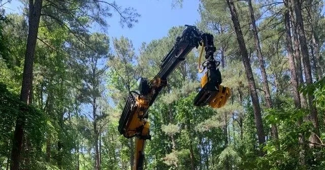 Emergency Tree Removal Ferndale WA