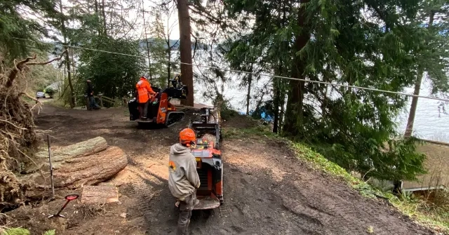 Earthworks crew trimming a leaning fir tree near Skagit River Park in Burlington WA - professional tree service in action