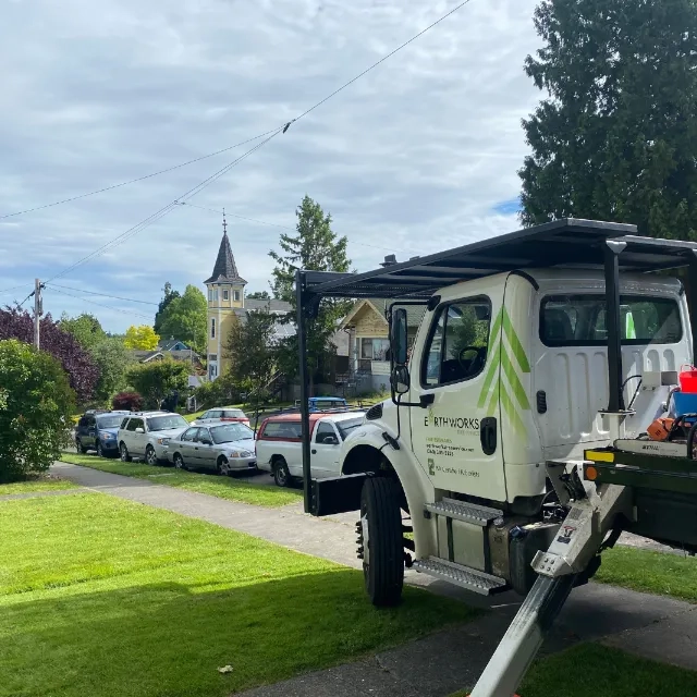 Earthworks Tree Service providing expert tree care in Bellingham, Whatcom, and Skagit counties, WA