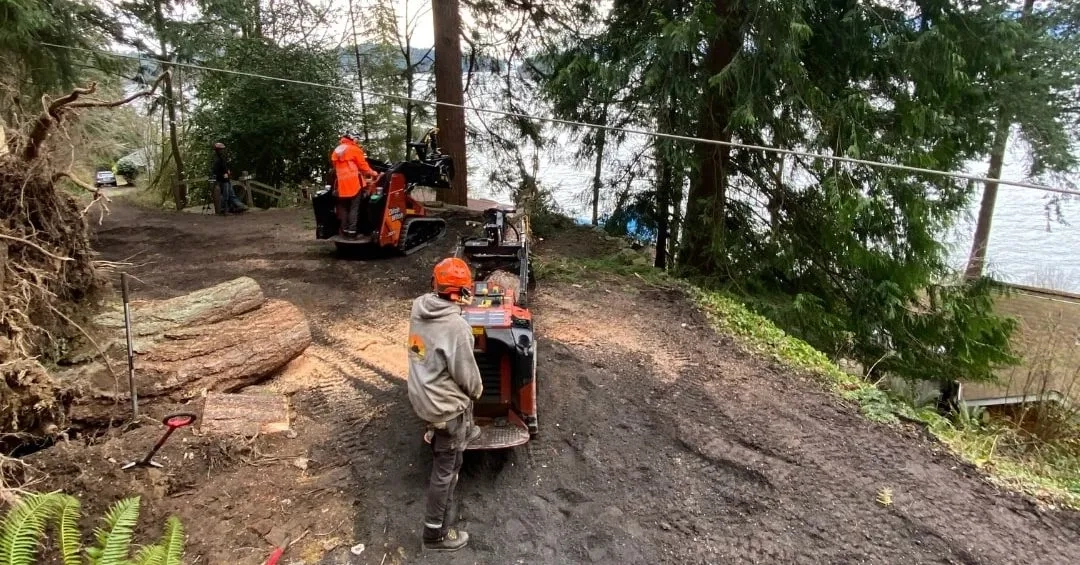 Professional stump grinding equipment removing a large tree stump from a residential yard in Skagit County