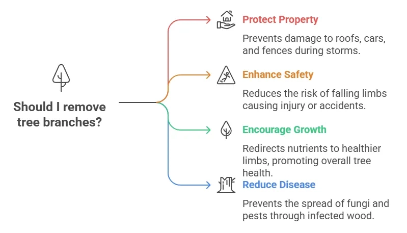 Graph showing reasons to remove tree branches
